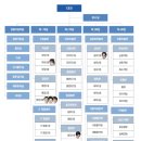 웹툰 원작 드라마 &#39;미생&#39; 넷플릭스 티빙 디즈니플러스 관람평 후기