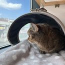 뿌리민박 이미지