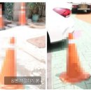 카페디플라워