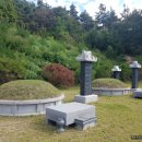 의병장 안승우묘 이미지