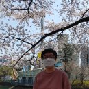 매직공인중개사사무소 이미지