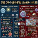 DS바이오텍 | HLB이노베이션 주가 급등 이유는(Ft. AACR, 베리스모)