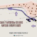 이·스마일치과교정과치과의원 이미지