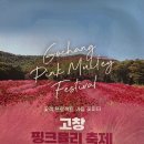 장발 농장 | [전북고창]핑크뮬리 물든 고창에서 아기랑 인생샷 — 꽃객 프로젝트 후기