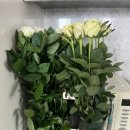 세용 농장 이미지