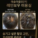 레인보우헤어샵 - 마포구 | 레인보우헤어샵