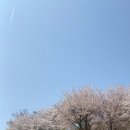 컴포즈커피 경기광주리첸시아점