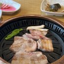 한돈소 이미지
