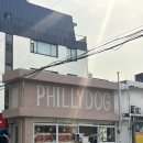 필리양 | [필리도그] 프리미엄 핫도그를 판매하는 핫도그와 사이드 맛집🌭