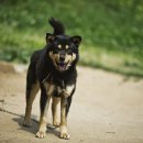 금골농장 이미지