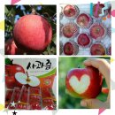 박경자농장 이미지