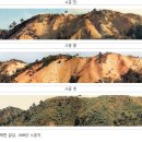 강산임업 - 춘천시 | 강산임업