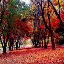 두레캠핑장