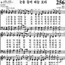 하늘보라2 이미지