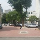 맥스 점프파이어 네이버블로그