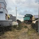 협재 정담 렌트하우스 | 아꼬아 게스트하우스 협재 후기｜음식 맛있는 협재 게하 파티 추천