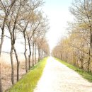 포동빗물배수펌프장 이미지