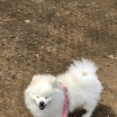 관교중학교(약수터)(37202) 이미지