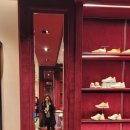 무아레소프트 이미지