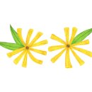 솥박골손칼국수 이미지