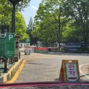 [W25] 서울숲 야외스냅촬영후기! by 시노츠필름