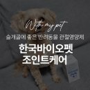 조인트 동물병원 | 반려동물 관절영양제 조인트케어 솔직후기!!