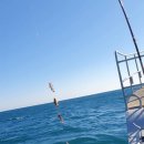 포항시남구장기면양포보건진료소 이미지