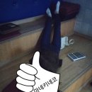 왔다노래연습장 이미지