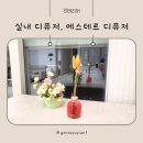 실내 방향 디퓨저, 에스테르디퓨저 실사용 후기