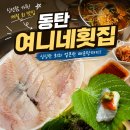 여니네 | 동탄 횟집 추천, 새로 오픈한 여니네횟집 방문포장 후기