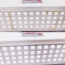 문창초교병설 이미지