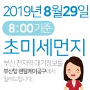 2019년 8월29일(목요일) 오전8:00 기준 부산전지역 초미세먼지 및 일일/주간 날씨정보 이미지