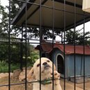 다온펜션1 이미지