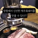 제주까망돈