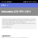 보보캐터리 이미지