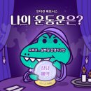 썬트레이너 이미지