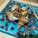 만덕수산 이미지