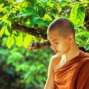 차신
