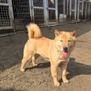 미풍 이미지