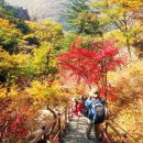 설악산오색마을 이미지