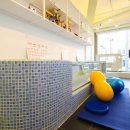 두리틀동물병원 이미지