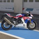 파이어코리아 이미지