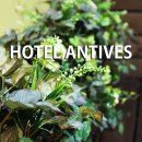 호텔앙띠브 이미지