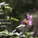 상마 티스토리