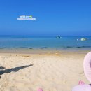 소돌슈퍼 | 강릉 여행 물고기가 노니는 주문진 소돌해변, 조용하게 잘 놀았다 (성수기 파라솔 이용 요금)