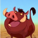 하쿠나마타타 이미지