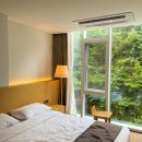 낙산어촌계 화장실 | 강원도 양양 낙산 비치 호텔 / 스탠다드 더블 숲 뷰 비전망 객실 후기♥