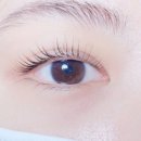 신월동196 이미지