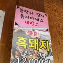 초록흑돼지농장 이미지