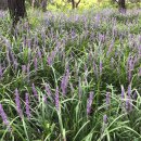 연세두리치과의원 이미지